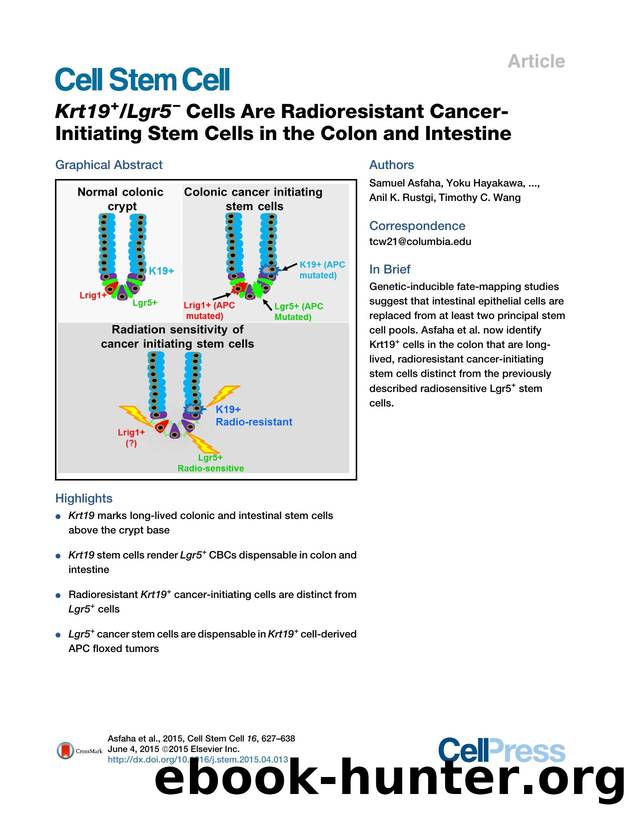 Krt19+Lgr5- Cells Are Radioresistant Cancer-Initiating Stem Cells in the Colon and Intestine by unknow