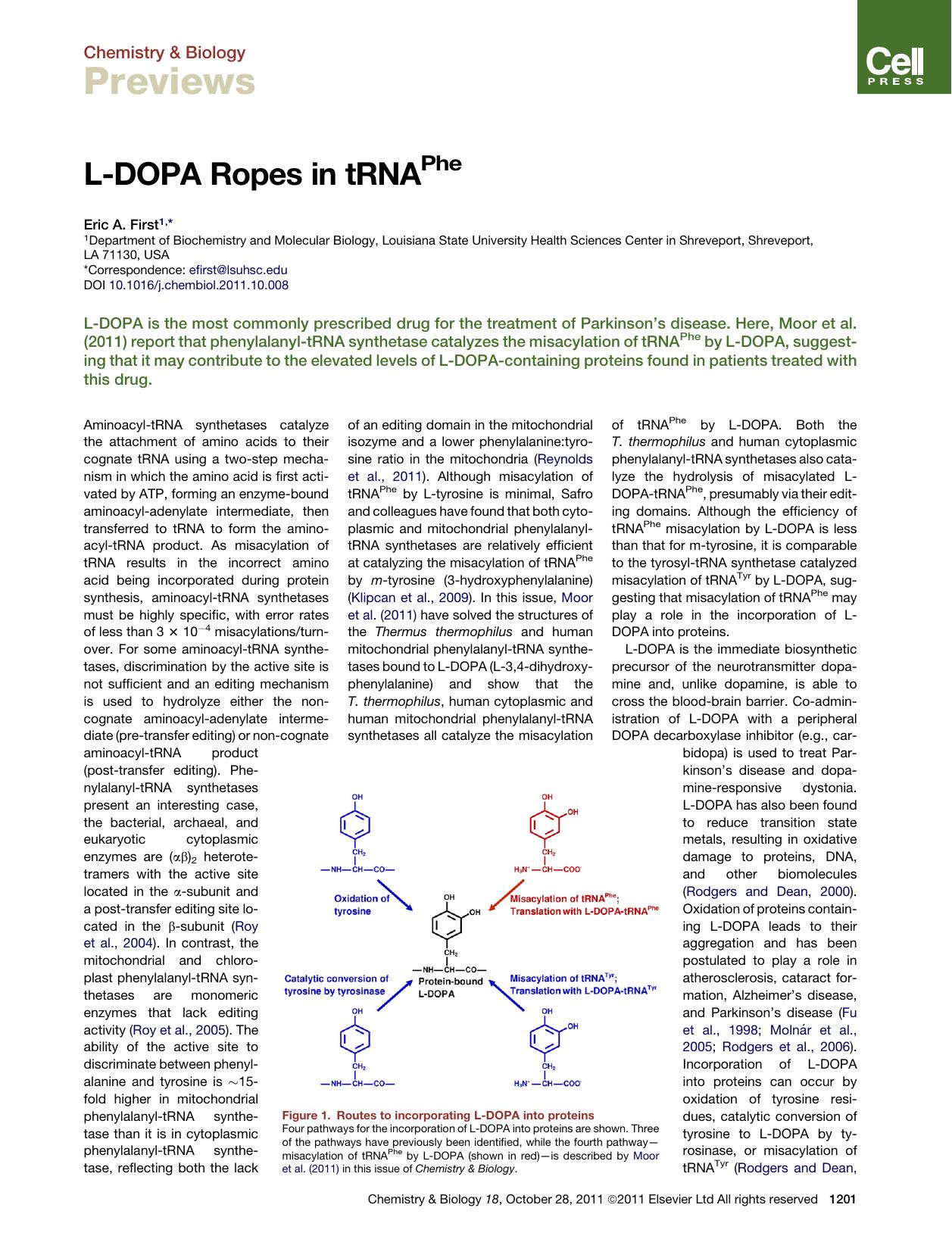 L-DOPA Ropes in tRNAPhe by Eric A. First