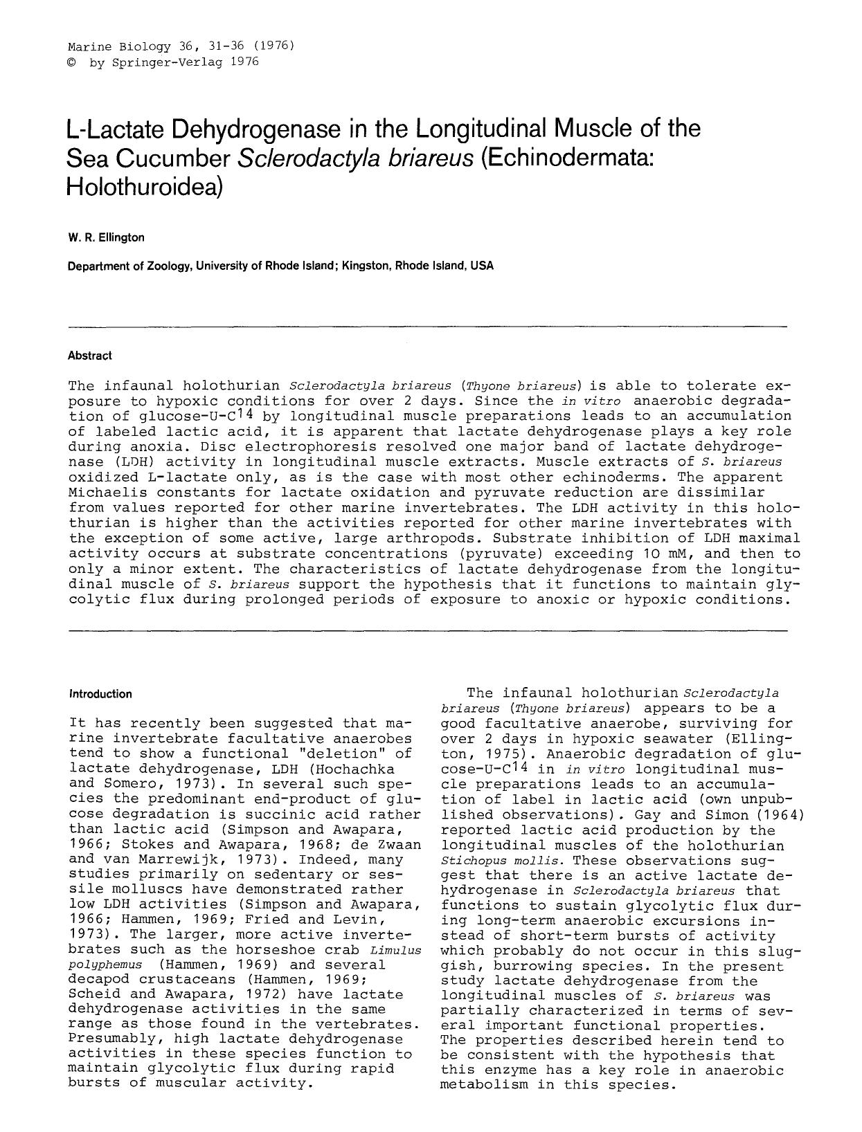 L-Lactate dehydrogenase in the longitudinal muscle of the sea cucumber <Emphasis Type="Italic">Sclerodactyla briareus<Emphasis> (Echinodermata: Holothuroidea) by Unknown