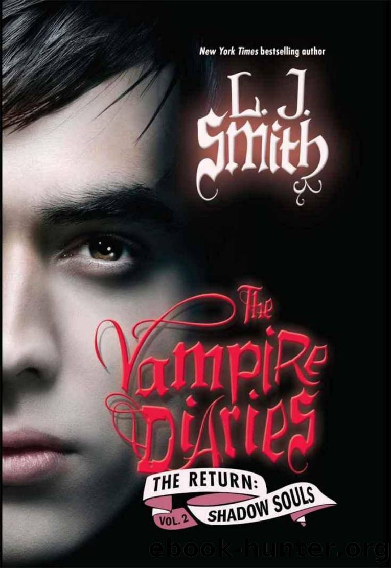 L.J. Smith - [The Vampire Diaries; The Return 02] by Shadow Souls