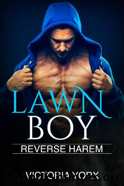 LAWN BOY by Victoria Yorx