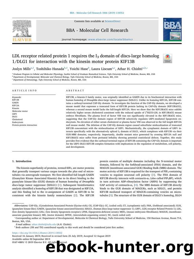 LDL receptor related protein 1 requires the I3 domain of discs-large homolog 1DLG1 for interaction with the kinesin motor protein KIF13B by Joslyn Mills & Toshihiko Hanada & Yoichi Hase & Laura Liscum & Athar H. Chishti