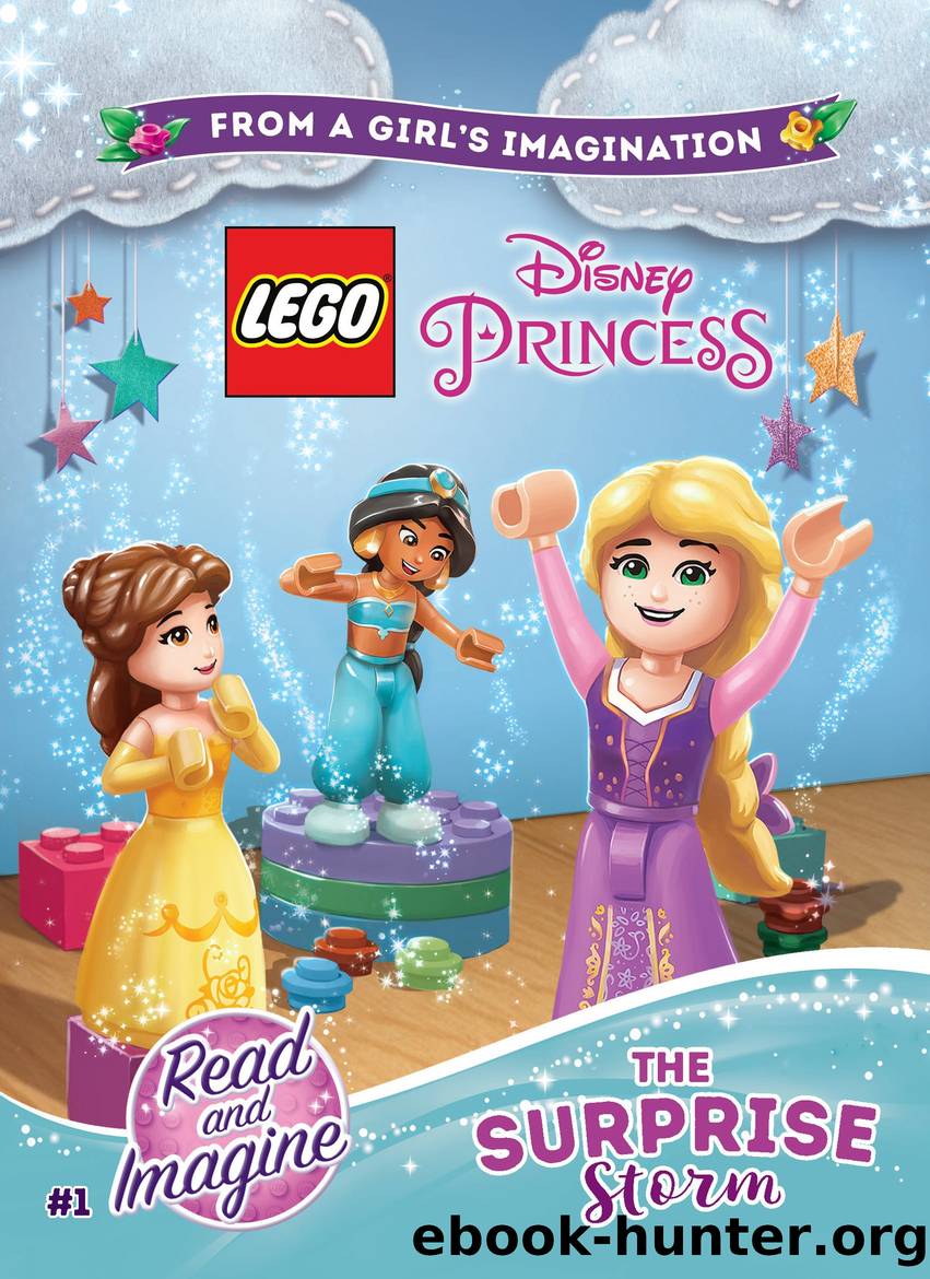 LEGO Disney Princess: The Surprise Storm by Unknown