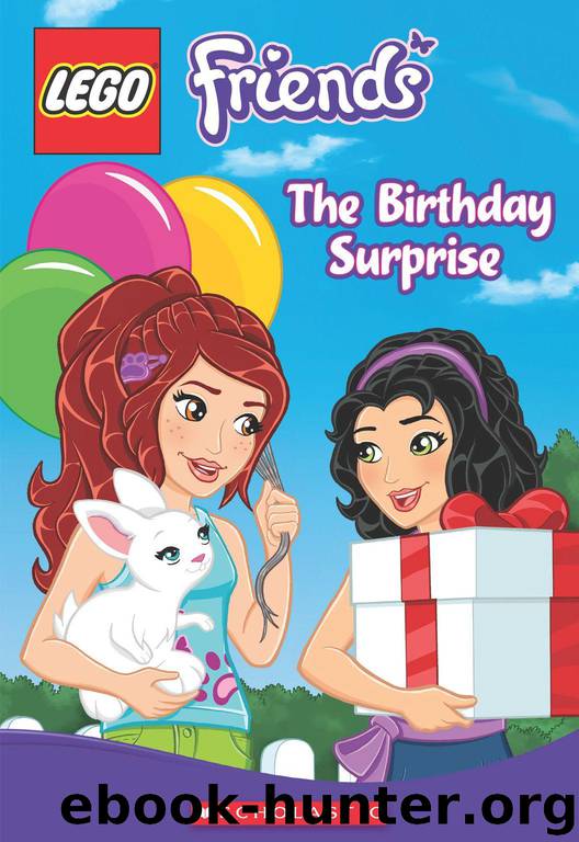 LEGO Friends: The Birthday Surprise (Chapter Book #4) by West Tracey