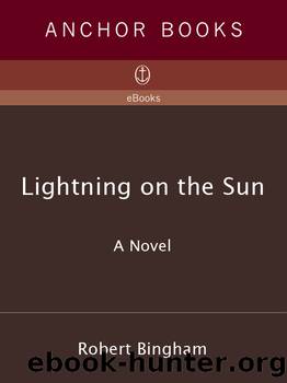 LIGHTNING ON THE SUN by Robert Bingham