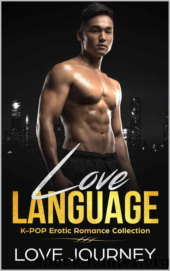 LOVE LANGUAGE: K-POP Erotic Romance Collection by Journey Love