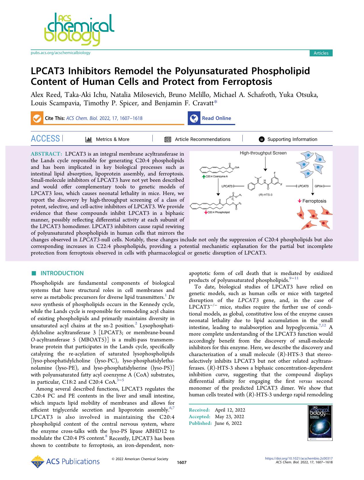 LPCAT3 Inhibitors Remodel the Polyunsaturated Phospholipid Content of Human Cells and Protect from Ferroptosis by unknow