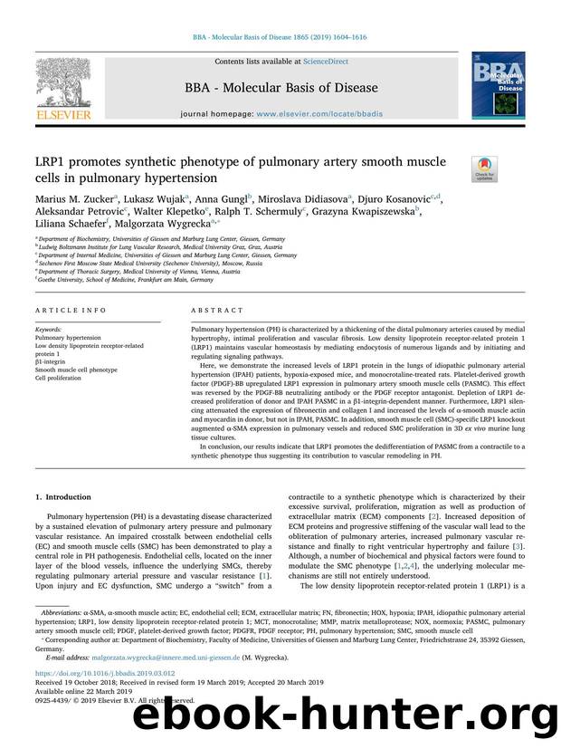 LRP1 promotes synthetic phenotype of pulmonary artery smooth muscle cells in pulmonary hypertension by unknow