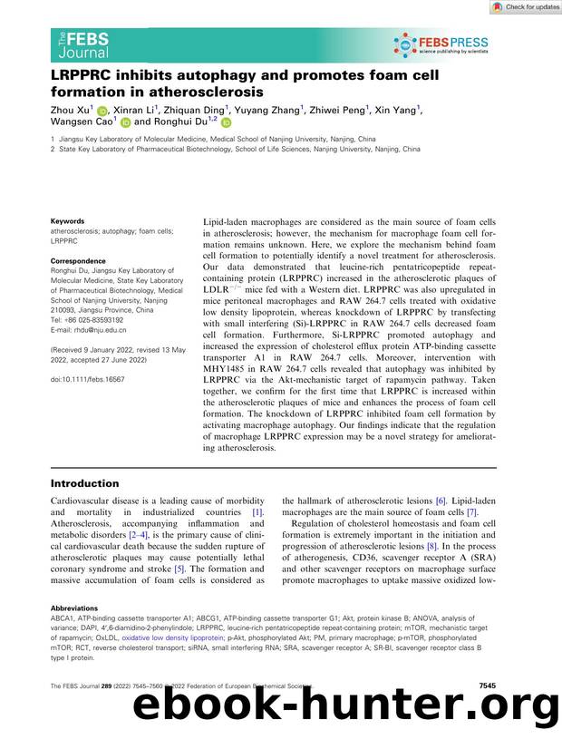 LRPPRC inhibits autophagy and promotes foam cell formation in atherosclerosis by Unknown