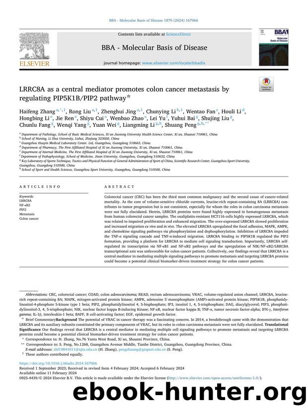 LRRC8A as a central mediator promotes colon cancer metastasis by regulating PIP5K1BPIP2 pathway by unknow