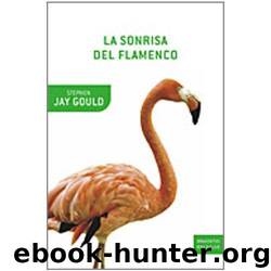La Sonrisa Del Flamenco by Stephen Gould