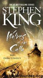 La Torre Oscura V: Los Lobos Del Calla by Stephen King