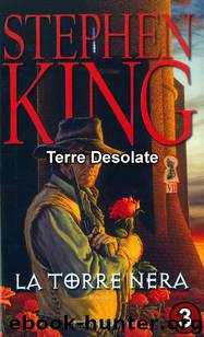 La torre Nera 3 - Terre Desolate by Stephen King