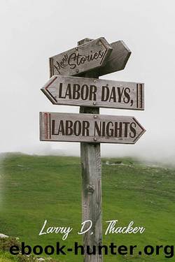 Labor Days, Labor Nights: More Stories (Appalachian Writing Book 14) by Larry D Thacker