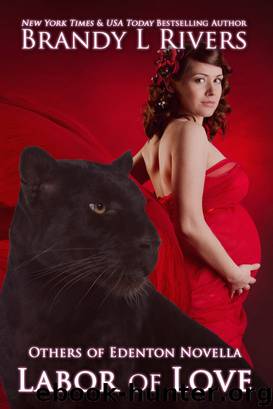 Labor of Love by Brandy L Rivers