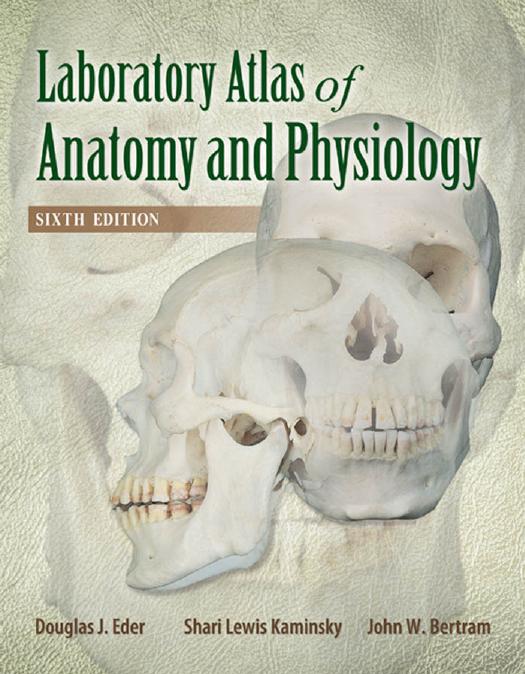 Laboratory Atlas of Anatomy and Physiology by Eder