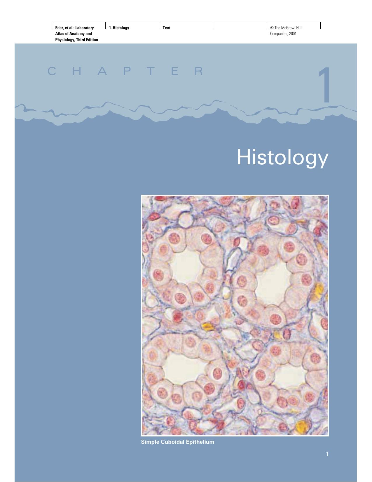 Laboratory atlas of anatomy and physiology by Douglas J Eder; Shari Lewis Kaminsky; John W Bertram