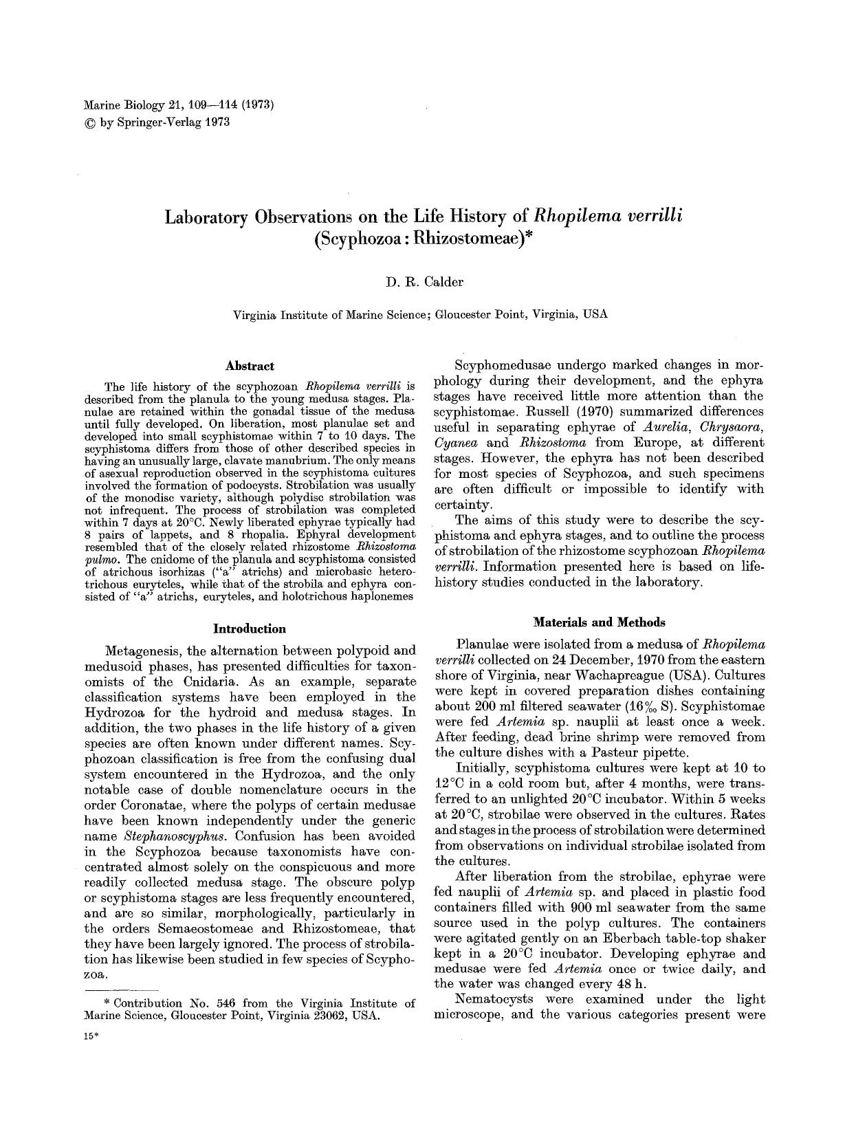 Laboratory observations on the life history of <Emphasis Type="Italic">Rhopilema verrilli<Emphasis> (Scyphozoa: Rhizostomeae) by Unknown