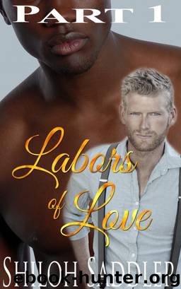 Labors of Love Part 1 (Gay Historical Romance) by Shiloh Saddler