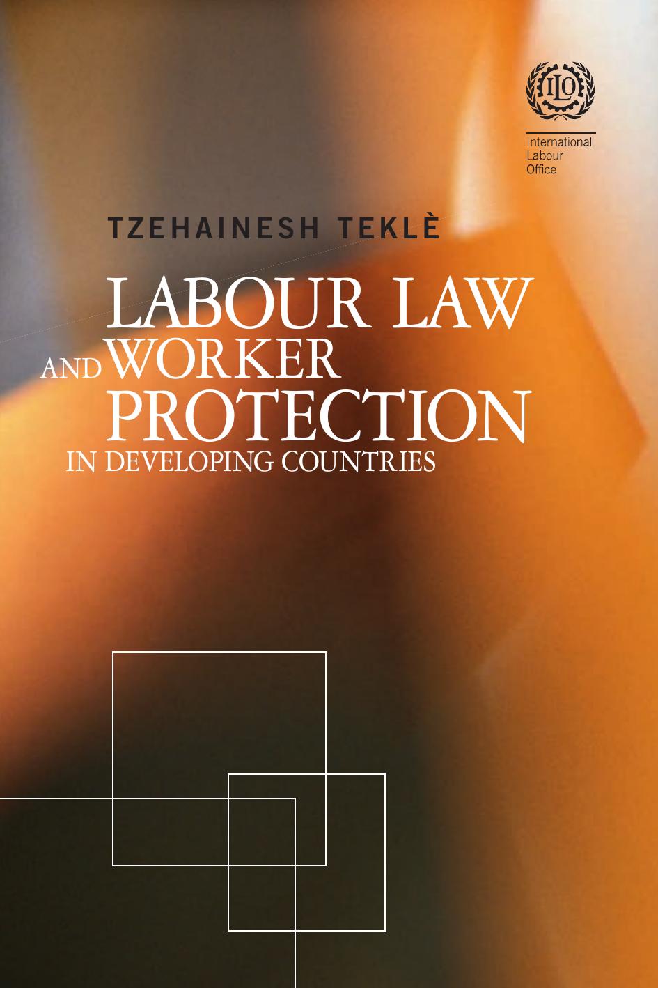 Labour Law and Worker Protection in Developing Countries by Teklè Tzehainesh; Tekl'