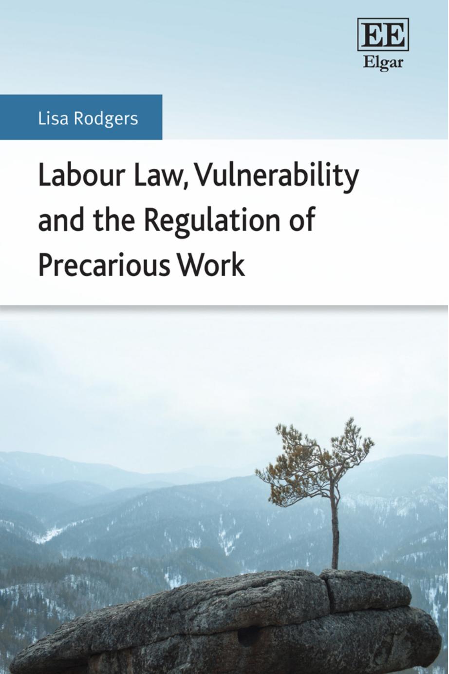 Labour Law, Vulnerability and the Regulation of Precarious Work by Lisa Rodgers