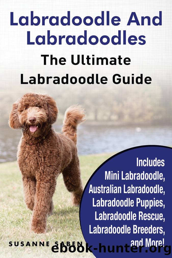 Labradoodle and Labradoodles by Susanne Saben