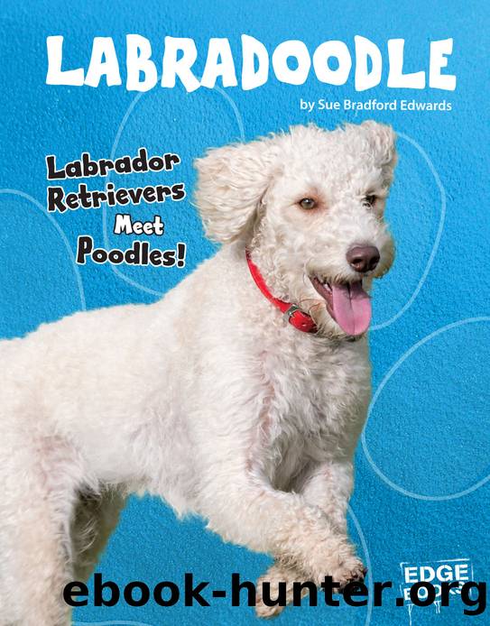 Labradoodle by Sue Bradford Edwards