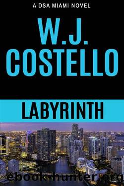 Labyrinth (DSA Miami Book 1) by W.J. Costello