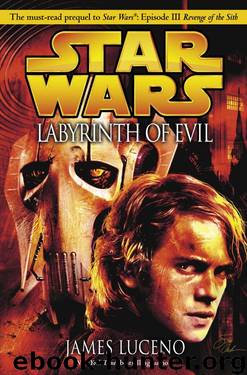 Labyrinth Of Evil by James Luceno