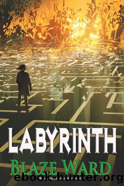 Labyrinth by Blaze Ward