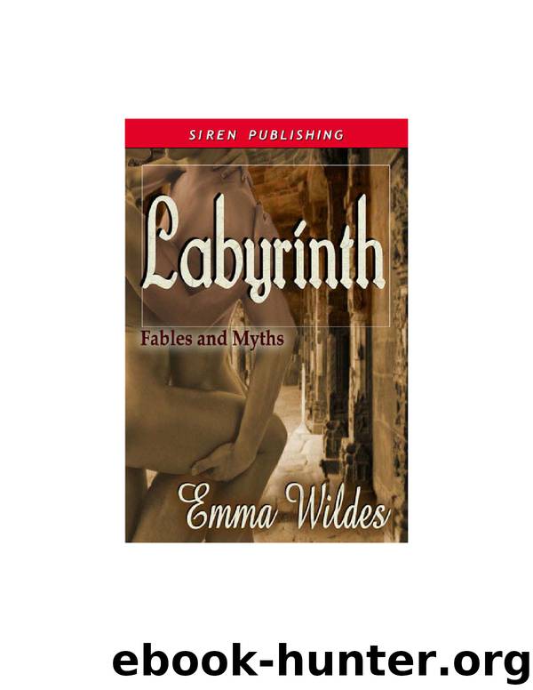 Labyrinth by Emma Wildes by Emma Wildes