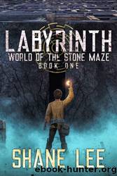 Labyrinth by Shane Lee
