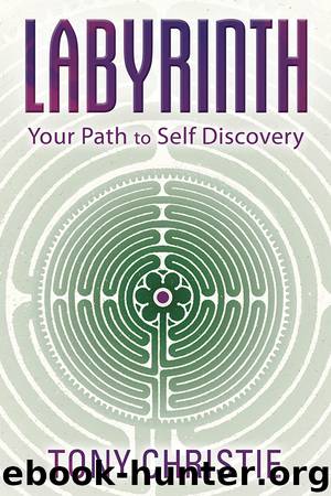 Labyrinth by Tony Christie