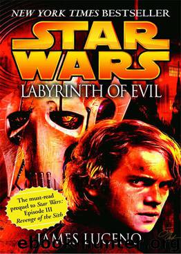 Labyrinth of Evil: Star Wars (Star Wars: Dark Lord Book 1) by Luceno James