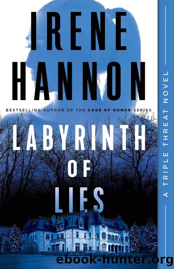 Labyrinth of Lies by Irene Hannon