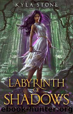 Labyrinth of Shadows by Kyla Stone