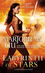 Labyrinth of Stars by Liu Marjorie M