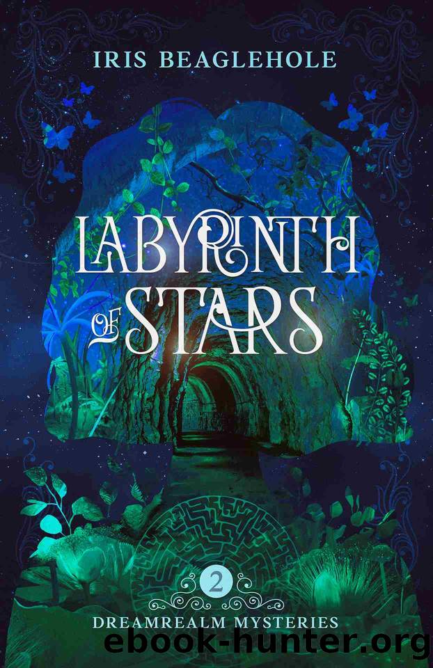 Labyrinth of Stars: Dreamrealm Mysteries 2 by Iris Beaglehole