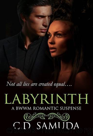 Labyrinth: A BWWM Romantic Suspense by C.D. Samuda