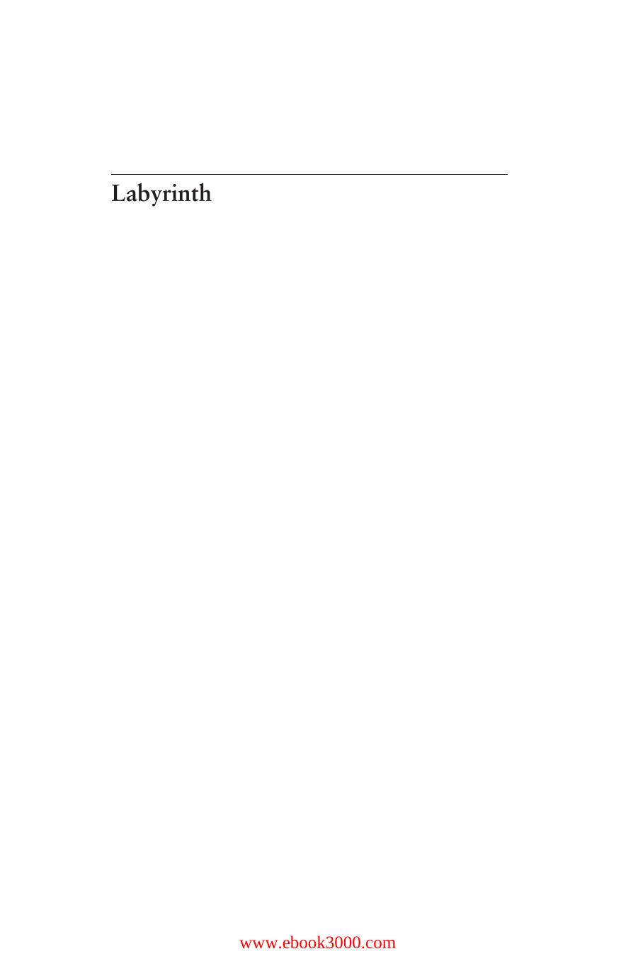 Labyrinth: A Search for the Hidden Meaning of Science by Unknow