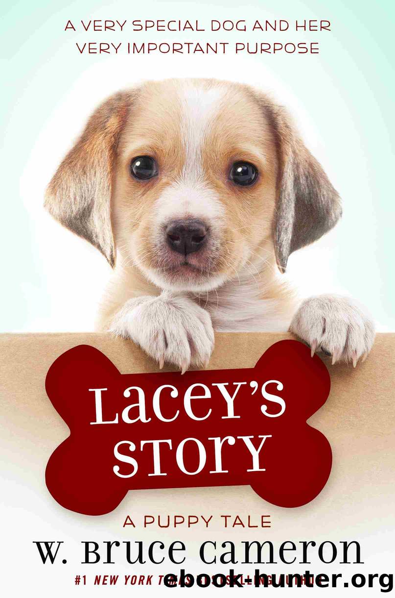 Lacey's Story by W. Bruce Cameron