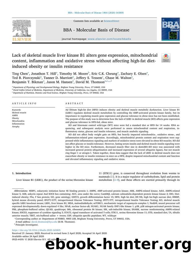 Lack of skeletal muscle liver kinase B1 alters gene expression, mitochondrial content, inflammation and oxidative stress without affecting high-fat diet-induced obesity or insulin resistance by unknow