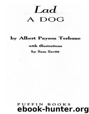 Lad: A Dog by Albert Payson Terhune
