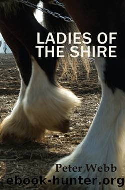 Ladies of the Shire by Peter Webb