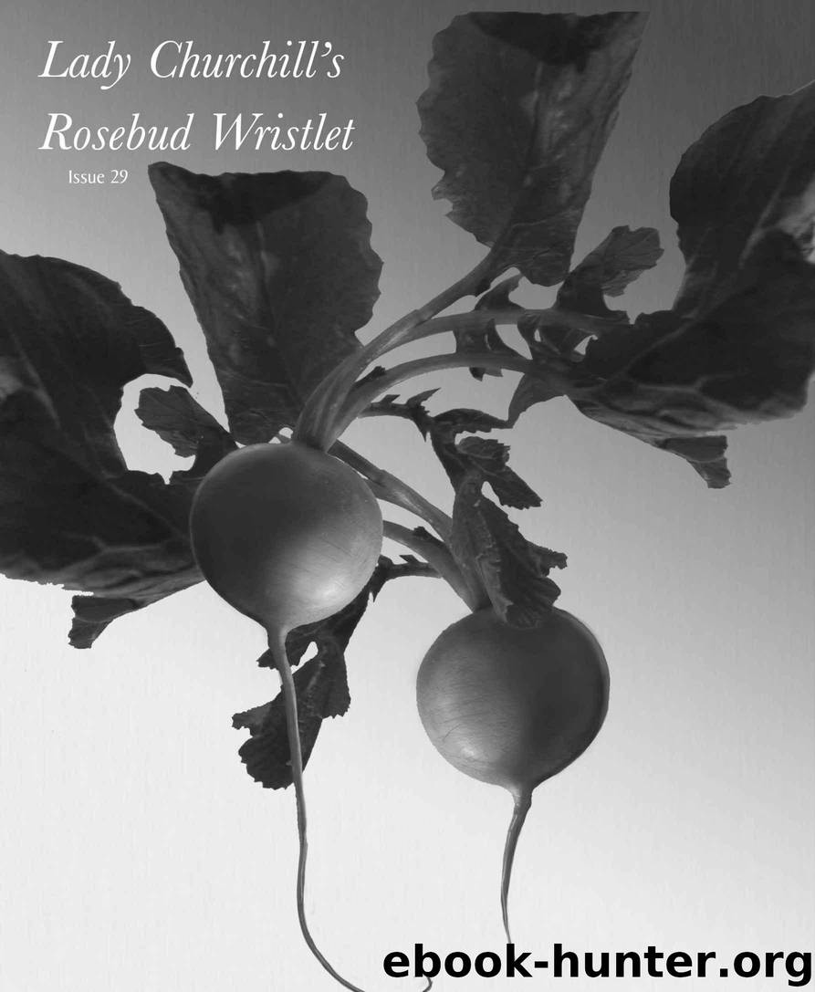 Lady Churchill's Rosebud Wristlet 29 by Edited by Gavin J. Grant and Kelly Link