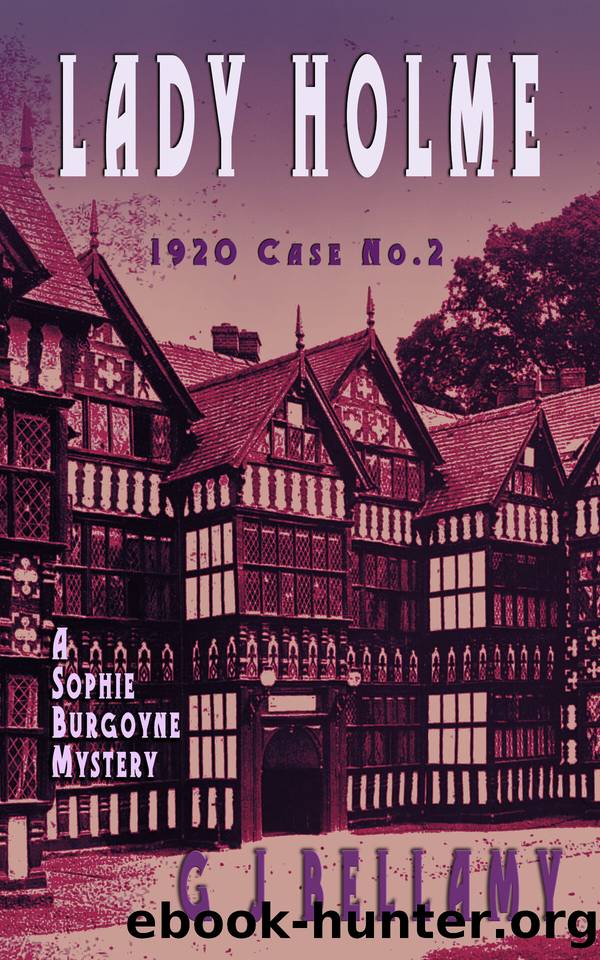 Lady Holme: A 1920s historical mystery where women break the barriers and have fun doing it (Sophie Burgoyne Mysteries) by Bellamy G J