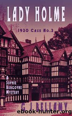 Lady Holme: A 1920s historical mystery where women break the barriers and have fun doing it (Sophie Burgoyne Mysteries) by G J Bellamy