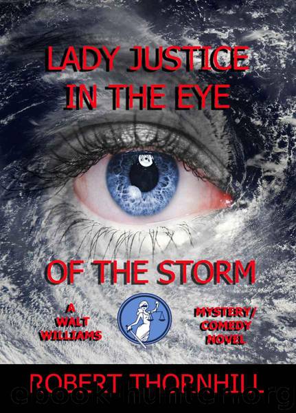 Lady Justice in the Eye of the Storm by Thornhill Robert