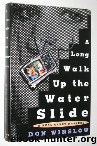 Lady Las Vegas by Don Winslow