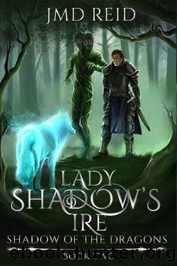 Lady Shadow's Ire (Shadow of the Dragons Book 2) by JMD Reid